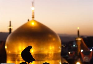 دستخط قدیمی و متبرک امام رضا (ع)