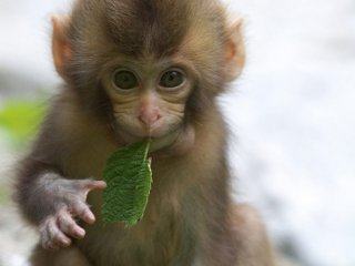 ویدئو:    کنه که می گین اینجوریه !