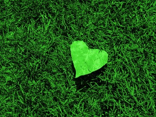 ویدئو:      انسانهایی که محبت کردن را از یکدیگر یاد میگیرند.