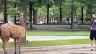 ویدئو:    خنده با دوربین مخفی