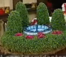 ویدئو:   آموزش سبز کردن بذر لعاب دار شاهی روی بطری پلاستیکی