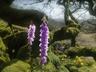 ویدئو :    مستند فوق العاده جذاب و تماشایی Life (زندگی)