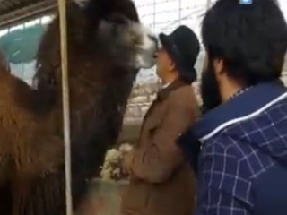 ویدئو :  خندوانه، قسمت ۲۰، ایران گردی - قزوین - بخش اول