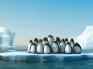 ویدئو :     کار تیمی - کار تشکیلاتی