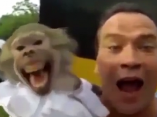 ویدئو :صداهای خنده دار حیوانات