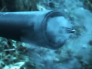 ویدئو:   شلیک به خود