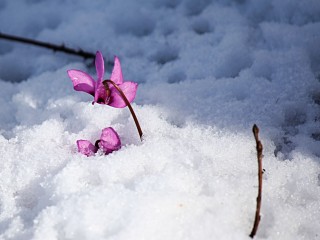 ویدئو : وقتی بچه ها برای بار اول برف را لمس می کنند....