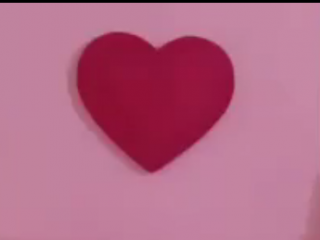 ویدئو :  دوربین مخفی  روز ولنتاین!