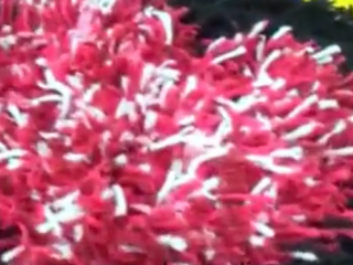 ویدئو : آموزش بافت پادری قلبی