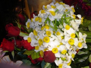 ویدئو :  کجایی گل نرگس...