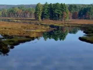 ویدئو : چه بلایی بر سر کره ی زمین بدون انسان ها می آید؟