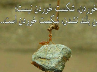 از شکست ها برای برنامه ریزی آینده استفاده کنیم