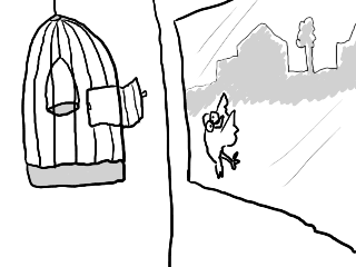 ویدئو :   خانم لطفا حجابت را رعایت کن؛ پاسخ: خب تو نگاه نکن!