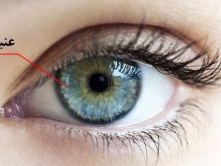 اسکنر عنبیه چیست و چه مزیتی نسبت به اسکنر اثر انگشت دارد؟