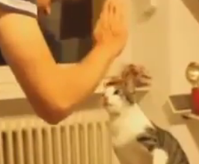 ویدئو :     کلیپ خنده دار