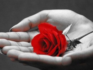 ویدئو : به جادوی مهربانی ایمان داشته باشید.