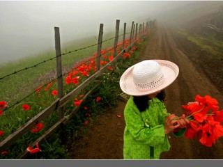 ویدئو : دکلمه من می خواهم برگردم به کودکی با صدای حسین پناهی