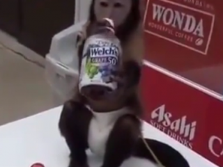 ویدئو :  این میمون بامزه رو ببینید!