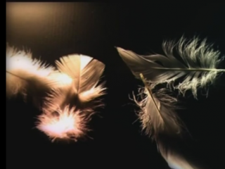 ویدئو :  یکبار خواب دیدن تو... | دکلمه زیبای پرویز پرستویی