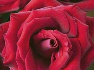 زندگی زیباست