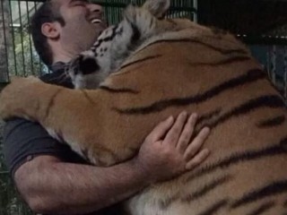 ویدئو :  سرشاخ شدن بهداد سلیمی با یک ببر