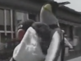 ویدئو : خرید کردن روزانه پنگوئن از ماهی فروشی