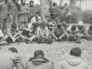 ویدئو :  چهل شاهد