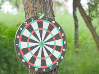 ویدئو :  جالب ترین ایده های 2016