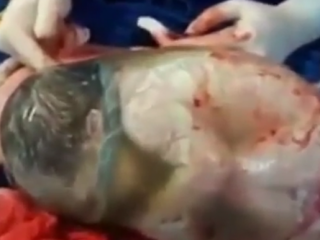 ویدئو :  عجایب خلقت!