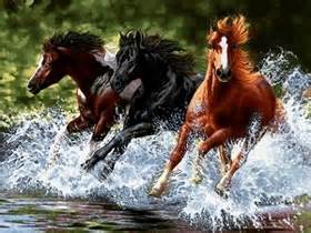 ویدئو :   ویدئوی نادر از مبارزه  اسب های وحشی با یکدیگر