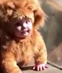 ویدئو :  وقتی شیر بچه انسان را با بچه خود اشتباه می گیرد!