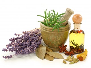 گیاهان دارویی نیروی های ویژه شما برای مقابله با کم خونی