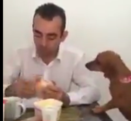 ویدئو : ای جانم