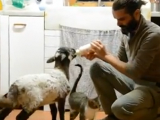 ویدئو :  ویدیو زیبا از رفتار با حیوانات
