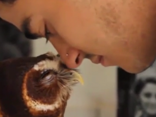 ویدئو :   واکنش بامزه و خنده دار جغدها در موقعیت های مختلف