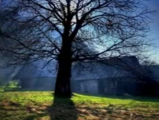 ویدئو :  سهراب سپهری - شعر کامل "زندگی" - دکلمه - بسیار زیبا