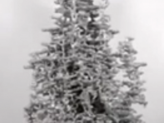 ویدئو :   کار جالب