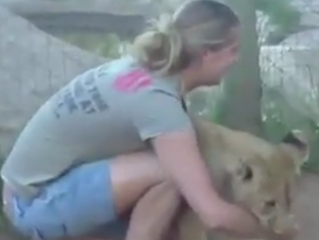 ویدئو: شوخی با شیر ! بسیار جالب است