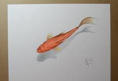 ویدئو :  طراحی سه بعدی - ماهی قرمز