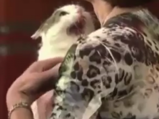 ویدئو :  بمب خنده با خنده دار ترین سوتی های گزارشی