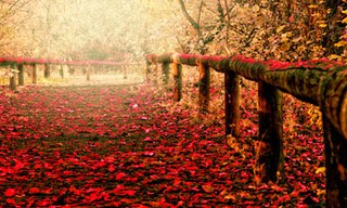 جملات الهام بخش برای زندگی