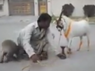 ویدئو :   اینو نگاه چکار میکنه