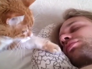 ویدئو :   صحنه های بسیـار فوق العاده و دیدنی