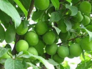 شعری از مهدی فرجی (رسیدن و نرسیدن ...)