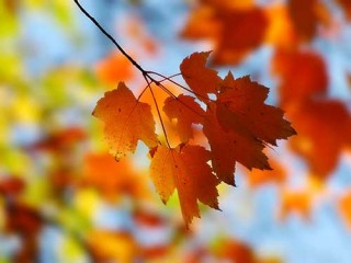 طالع بینی عادت های بد تمام ماه ها