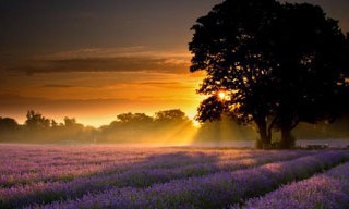 جمله های زیبا برای زندگی