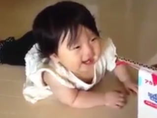 ویدئو :    خنده شیرین کودکان و گربه ها