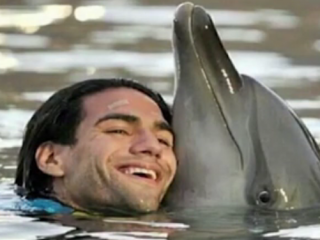 ویدئو :   تصاویر جالب از ستارگان فوتبال به همراه حیوانات