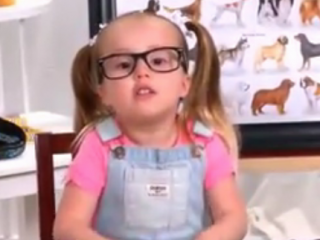 ویدئو :   حقایقی بامزه در مورد سگها از زبان بریل! زیرنویس