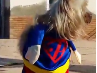 ویدئو :  لباس بامزه سگها